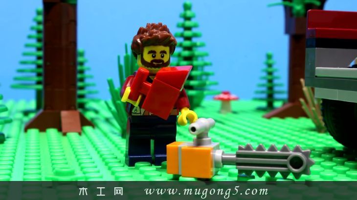 伐木,积木,定格,森林,动物,动画,木工,视频