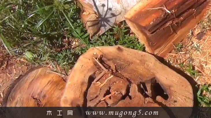 虫眼,叫绝,木匠,艺术大师,木头,成品,做出,令人
