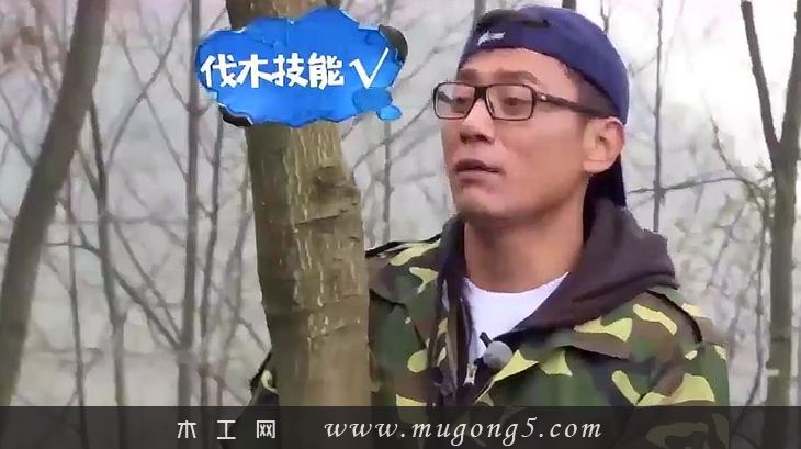 锯子,伐木,杀手,木工,视频,刘烨