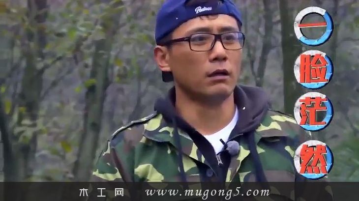 伐木,骡子,快乐,木工,视频,刘烨